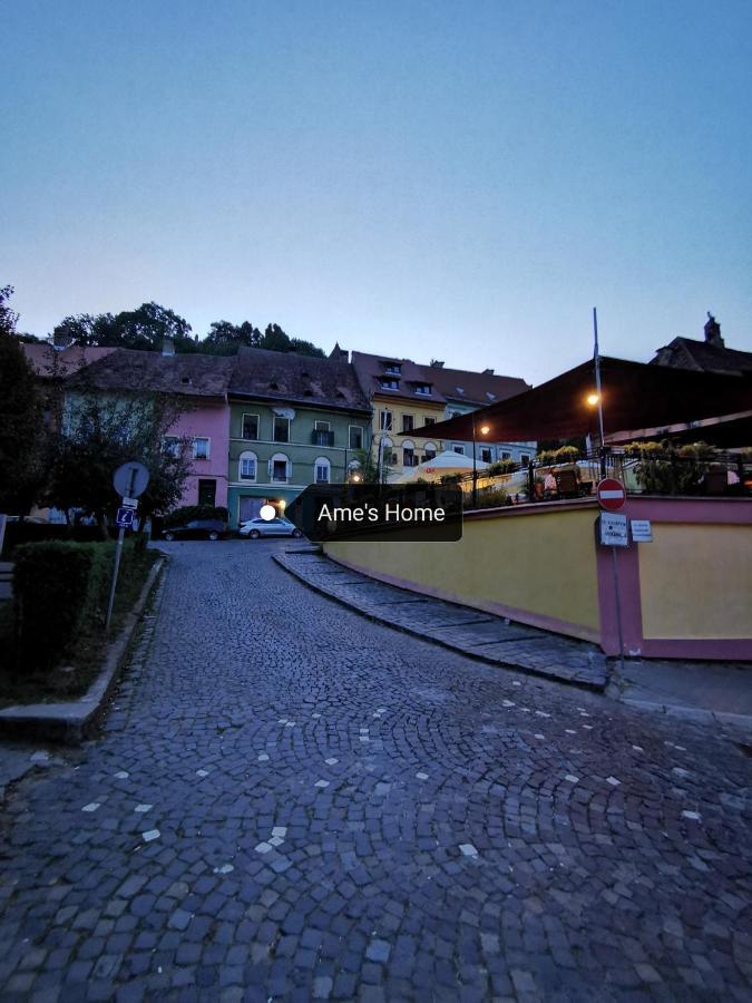 Ame'S Home Sighişoara Dış mekan fotoğraf