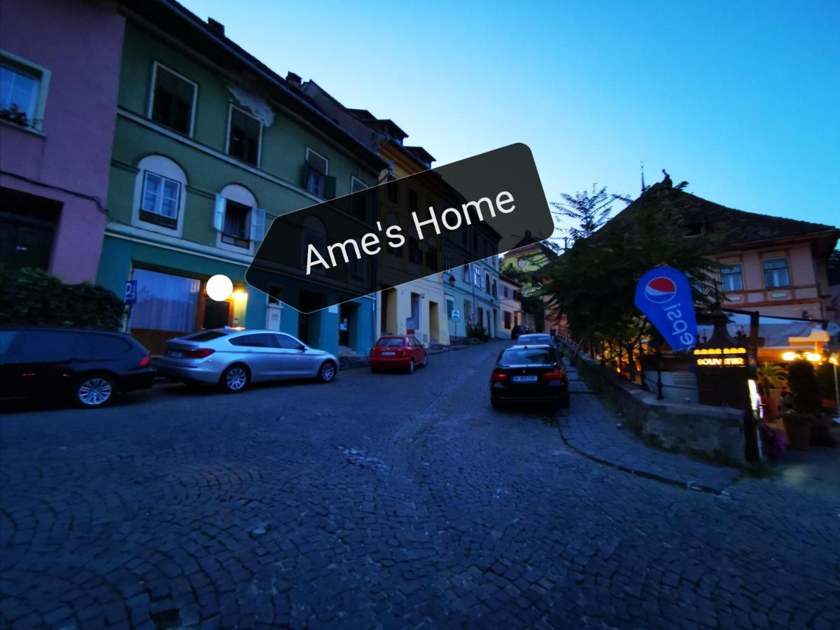 Ame'S Home Sighişoara Dış mekan fotoğraf